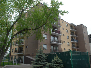 Image ViT 172646