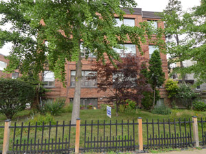 Image ViT 17287