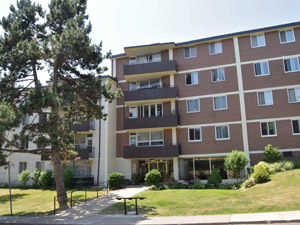 Image ViT 173452