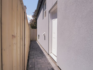 Image ViT 174090