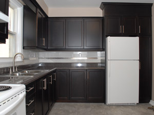 3+ Bedroom apartment for rent in NORTH YORK