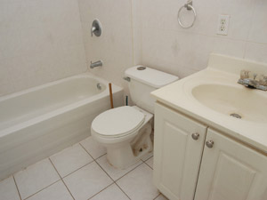 1 Bedroom apartment for rent in TORONTO  