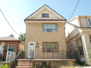 Image ViT 175234