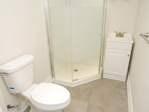 1 Bedroom apartment for rent in TORONTO 