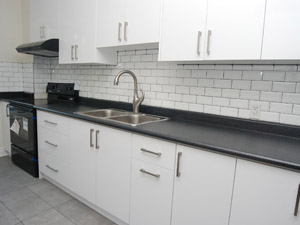 1 Bedroom apartment for rent in TORONTO 