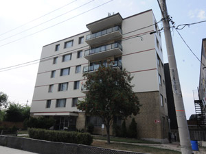 Image ViT 175704