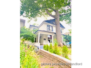 Image ViT 176045