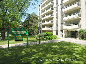 Image ViT 176166