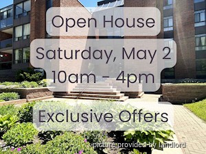 Image ViT 176417