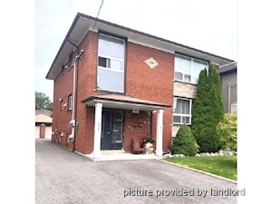Image ViT 177731