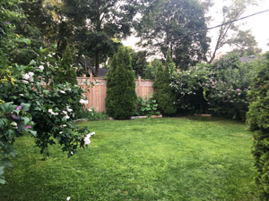 3+ Bedroom apartment for rent in TORONTO 