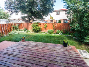 3+ Bedroom apartment for rent in Brampton   