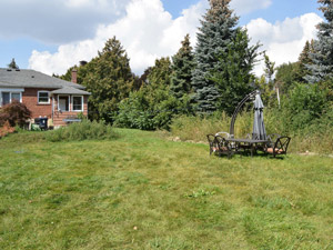 1 Bedroom apartment for rent in ETOBICOKE 