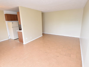 2 Bedroom apartment for rent in Hamilton 