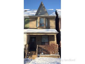 Image ViT 184674