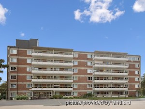 Image ViT 184807