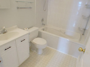 1 Bedroom apartment for rent in TORONTO