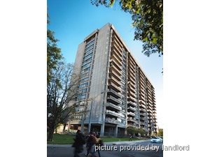 Image ViT 185598