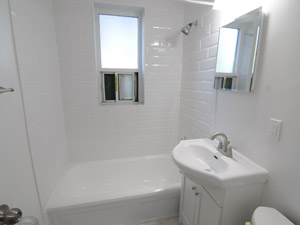 1 Bedroom apartment for rent in NORTH YORK 