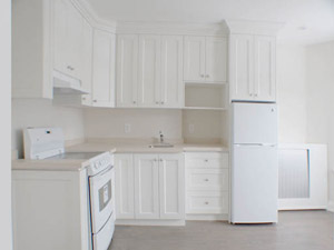 1 Bedroom apartment for rent in TORONTO