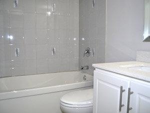 1 Bedroom apartment for rent in Caledon   