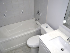 1 Bedroom apartment for rent in Caledon   