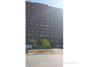 Image ViT 186404