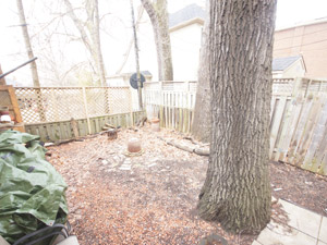 1 Bedroom apartment for rent in TORONTO 
