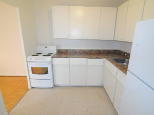 1 Bedroom apartment for rent in NORTH YORK