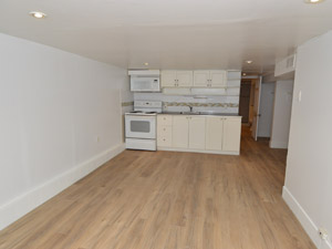 1 Bedroom apartment for rent in TORONTO 