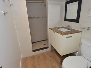 1 Bedroom apartment for rent in TORONTO 