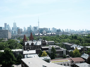 1 Bedroom apartment for rent in  