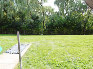 Room / Shared apartment for rent in MISSISSAUGA  