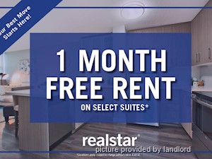 1 Bedroom apartment for rent in TORONTO