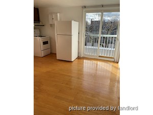 Image ViT 191545