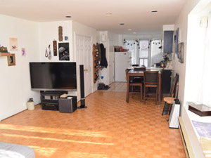 1 Bedroom apartment for rent in TORONTO