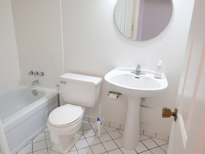 1 Bedroom apartment for rent in TORONTO