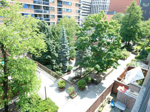 1 Bedroom apartment for rent in TORONTO