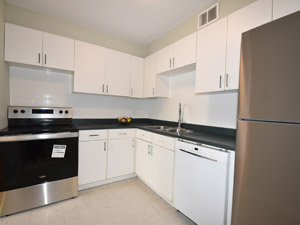 1 Bedroom apartment for rent in TORONTO