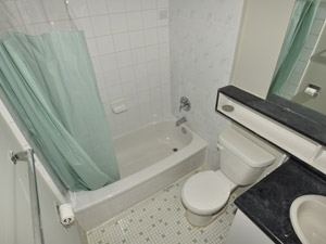 1 Bedroom apartment for rent in TORONTO