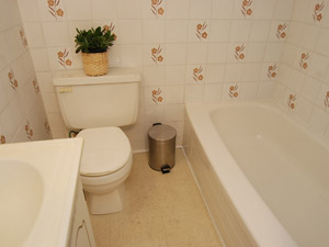 1 Bedroom apartment for rent in EAST YORK