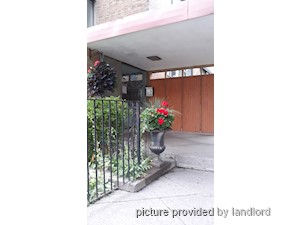 Image ViT 19541