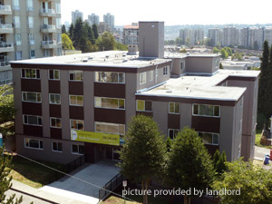 Image ViT 195724
