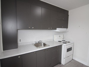 1 Bedroom apartment for rent in Richmond Hill 