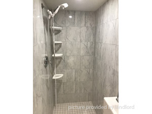 Bachelor apartment for rent in TORONTO