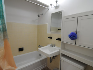 1 Bedroom apartment for rent in EAST YORK