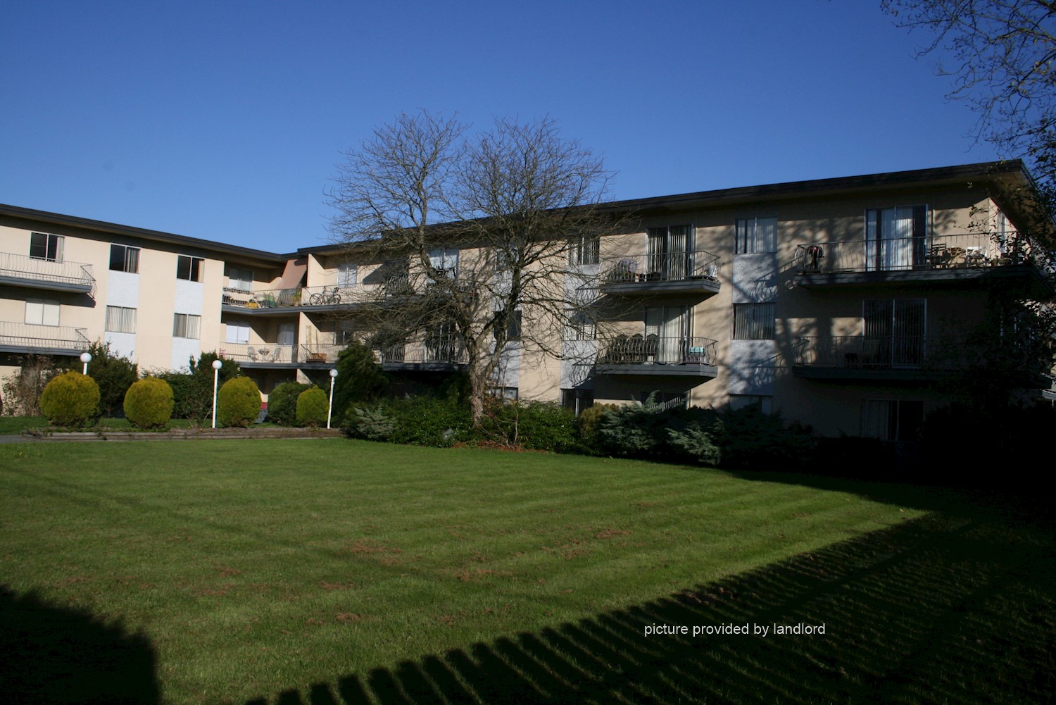 For rent 6920 Gilley Ave Burnaby, 2 bdrm Viewit 200935