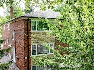 Image ViT 203648