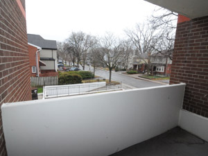 1 Bedroom apartment for rent in TORONTO  