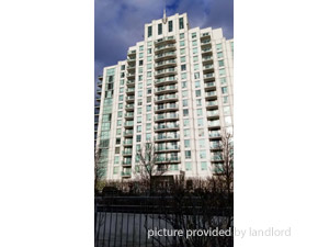 Image ViT 204066